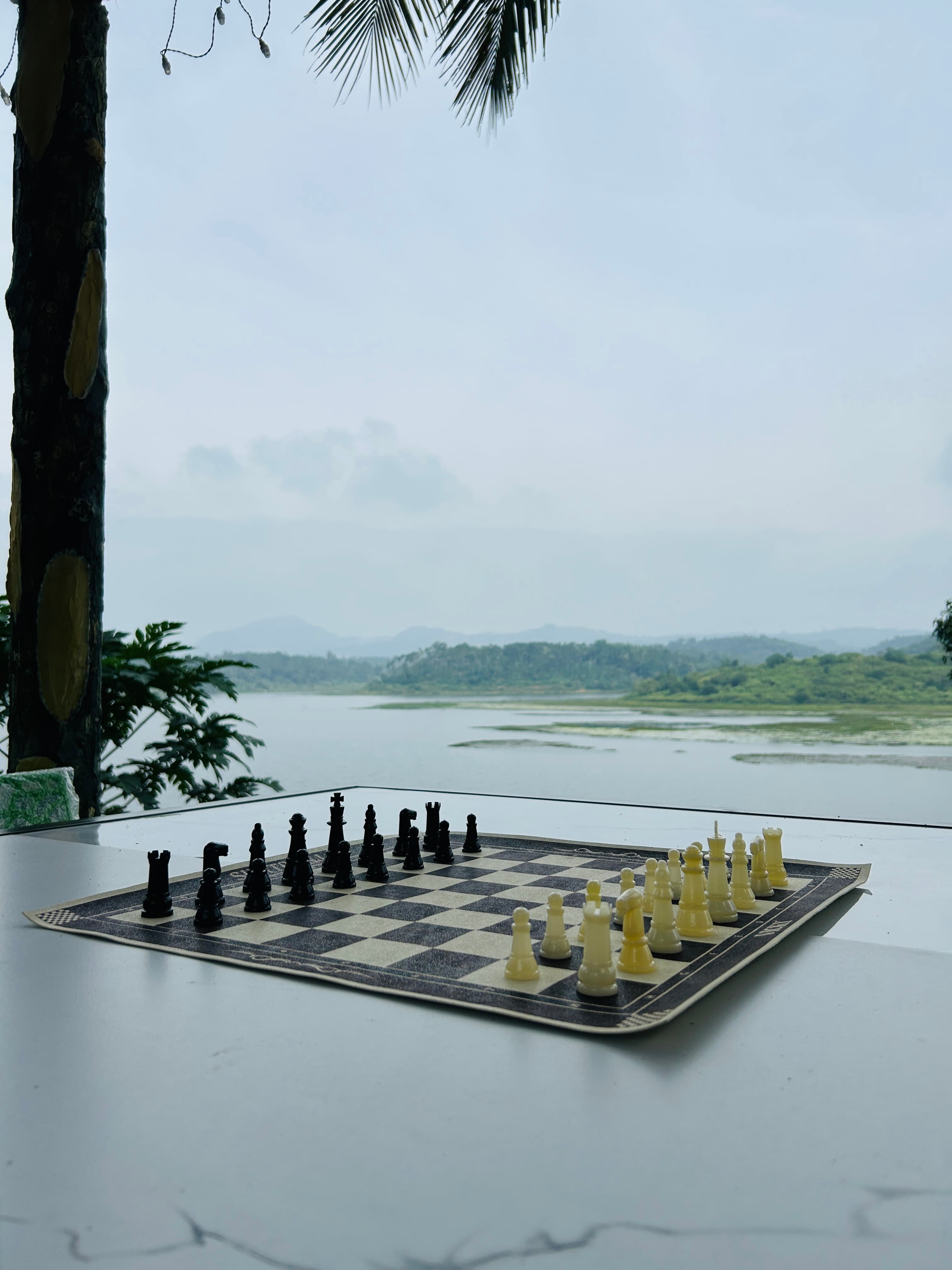 Indoor games - Chess