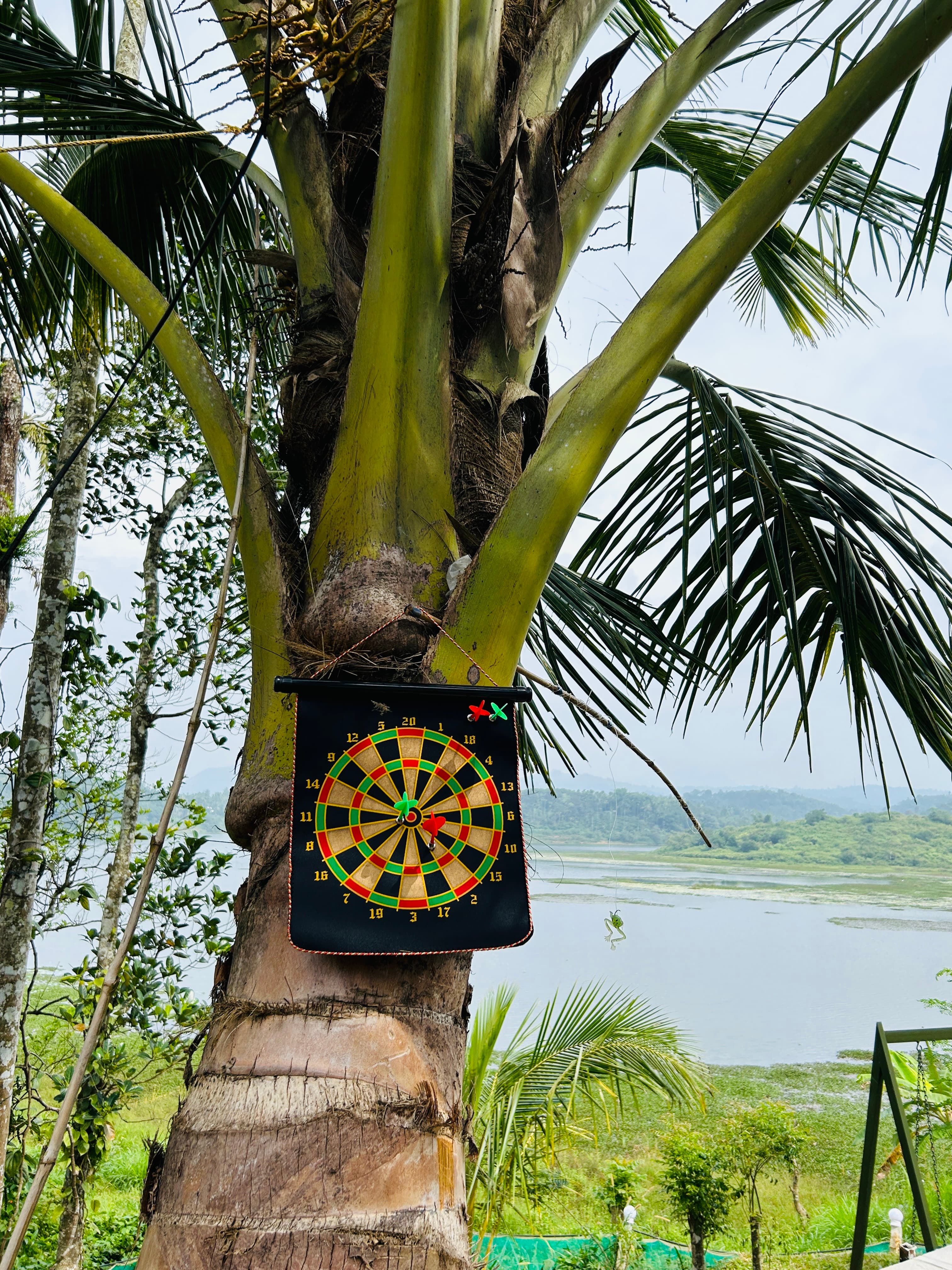 Indoor games - Dartboard