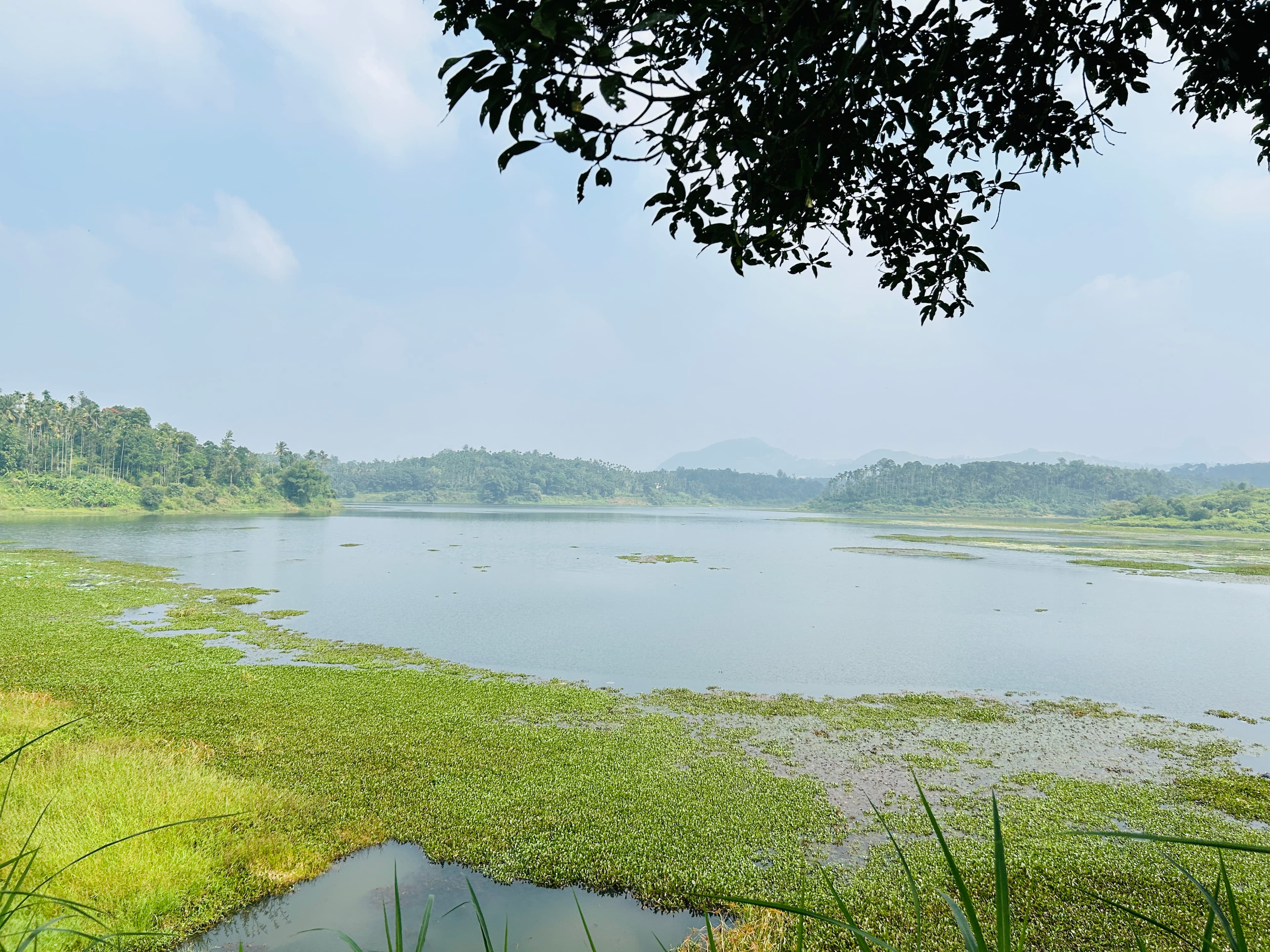 Infinity pool overlooking the lake